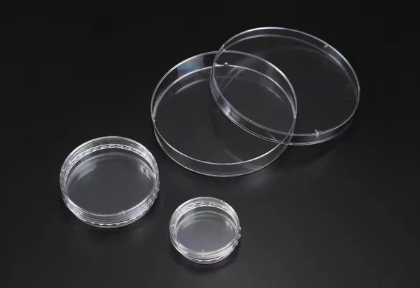 3D Cell Floater Dish