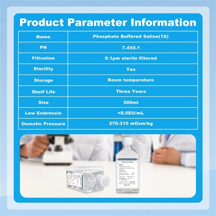 Buffer Information