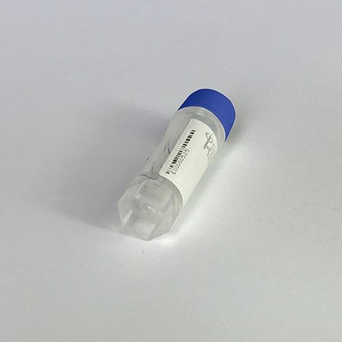 Self-Standing External Threads Cryogenic Vials Plastic CryoKING For Labs Sterile, O-ring Free