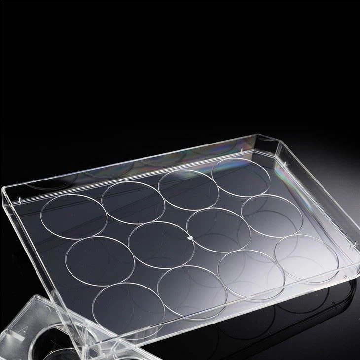 Transparent Ps Flat Bottom 12 Well Cell Culture Plate Disposable