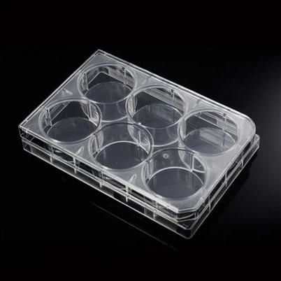6 Nwyddau Traul Wel Lab Plât Diwylliant Cell Microplate Di-haint Plastig